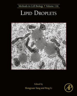 Lipid Droplets Lipid Droplets