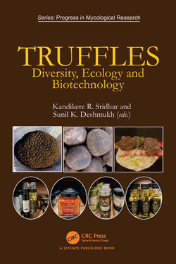 Truffles