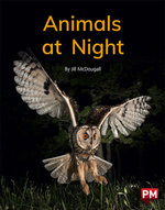 Animals at Night
