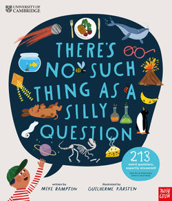 There's No Such Thing as a Silly Question There's No Such Thing as a Silly Question