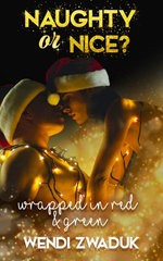 Wrapped in Red and Green: Naughty or Nice? A Christmas Romance