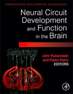 Neural Circuit Development and Function in the Healthy and Diseased Brain