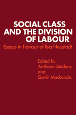 Social Class and the Divison of Labour