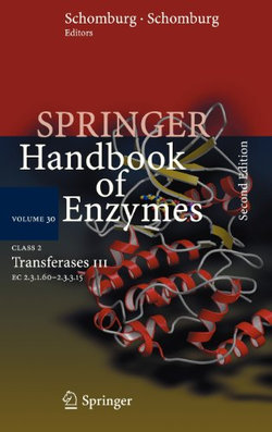 Class 2 Transferases III