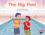 The Big Pool