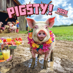 Pigsty 2026 12 X 24 Inch (Hanging) Monthly Square Wall Calendar Plastic-Free Pigsty 2026 12 X 24 Inch (Hanging) Monthly Square Wall Calendar Plastic-Free
