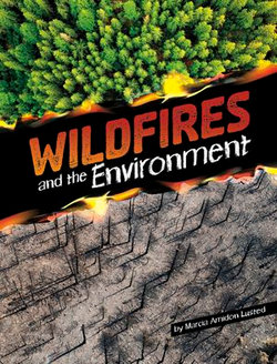 Wildfires and the Environment Wildfires and the Environment