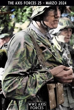 The Axis Forces 25