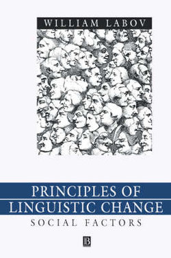 Principles of Linguistic Change, Volume 2