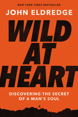 Wild at Heart Expanded Ed