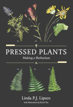 Pressed Plants Pressed Plants