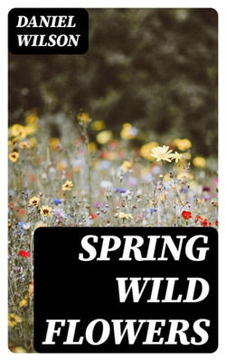 Spring Wild Flowers Spring Wild Flowers