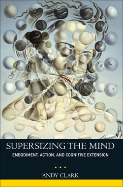 Supersizing the Mind