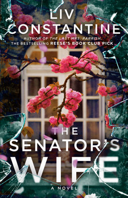 The Senator's Wife The Senator's Wife
