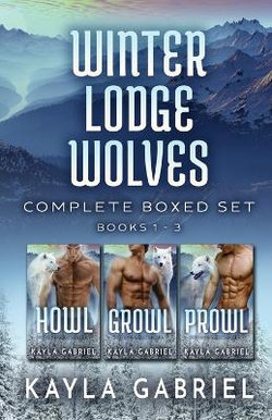 Winter Lodge Bears Complete Boxed Set (Large Print) Winter Lodge Bears Complete Boxed Set (Large Print)