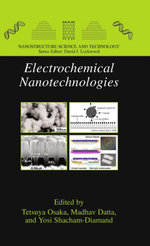Electrochemical Nanotechnologies