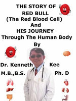 The Story Of Red Bull The Red Blood Cell And His Journey Through The Human Body