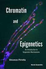 Chromatin and Epigenetics