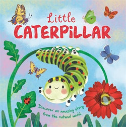 Little Caterpillar Little Caterpillar