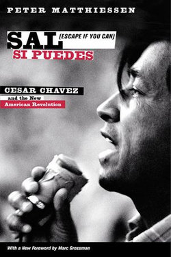 Sal Si Puedes (Escape If You Can) Sal Si Puedes (Escape If You Can)