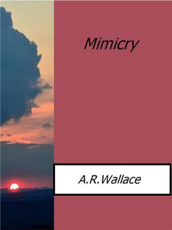 Mimicry Mimicry