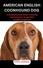 AMERICAN ENGLISH COONHOUND DOG
