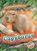 Capybaras