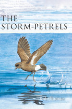The Storm-Petrels
