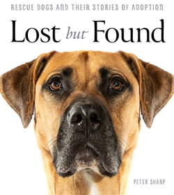 Lost but Found