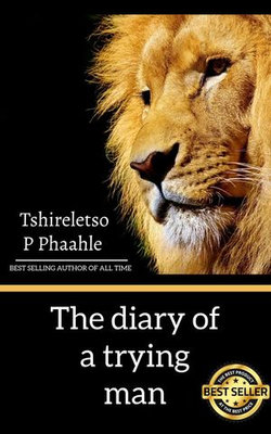 The diary of a trying man