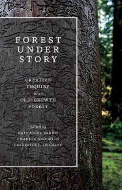 Forest Under Story