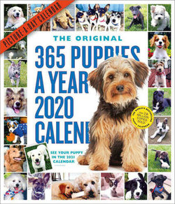 2020 365 Puppies-A-Year Picture-A-Day Calendar