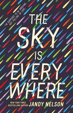 The Sky Is Everywhere The Sky Is Everywhere
