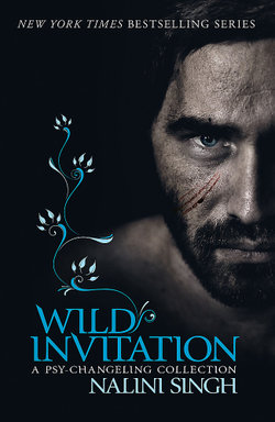 Wild Invitation Wild Invitation