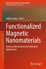 Functionalized Magnetic Nanomaterials