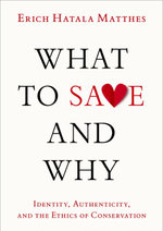 What to Save and Why