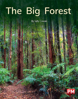 The Big Forest