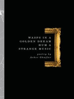 Wasps In A Golden Dream Hum A Strange Music