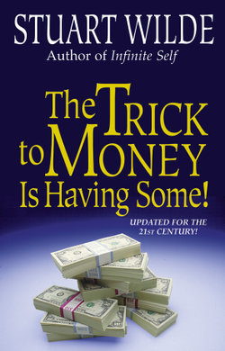 The Trick to Money is Having Some