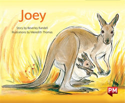 Joey