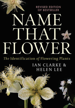 Name That Flower