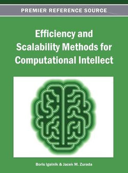 Efficiency and Scalability Methods for Computational Intellect