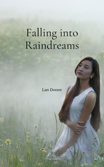 Falling into Raindreams