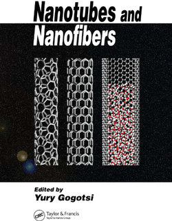 Nanotubes and Nanofibers