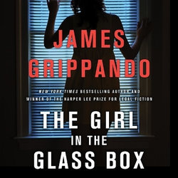 The Girl in the Glass Box Lib/E