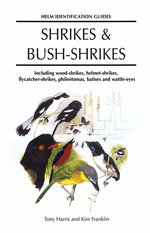 Shrikes and Bush-shrikes