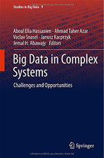 Big Data in Complex Systems