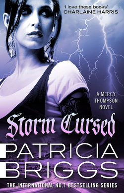 Mercy Thompson : Storm Cursed
