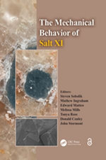 The Mechanical Behavior of Salt XI