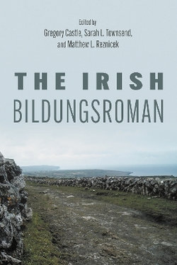 The Irish Bildungsroman The Irish Bildungsroman